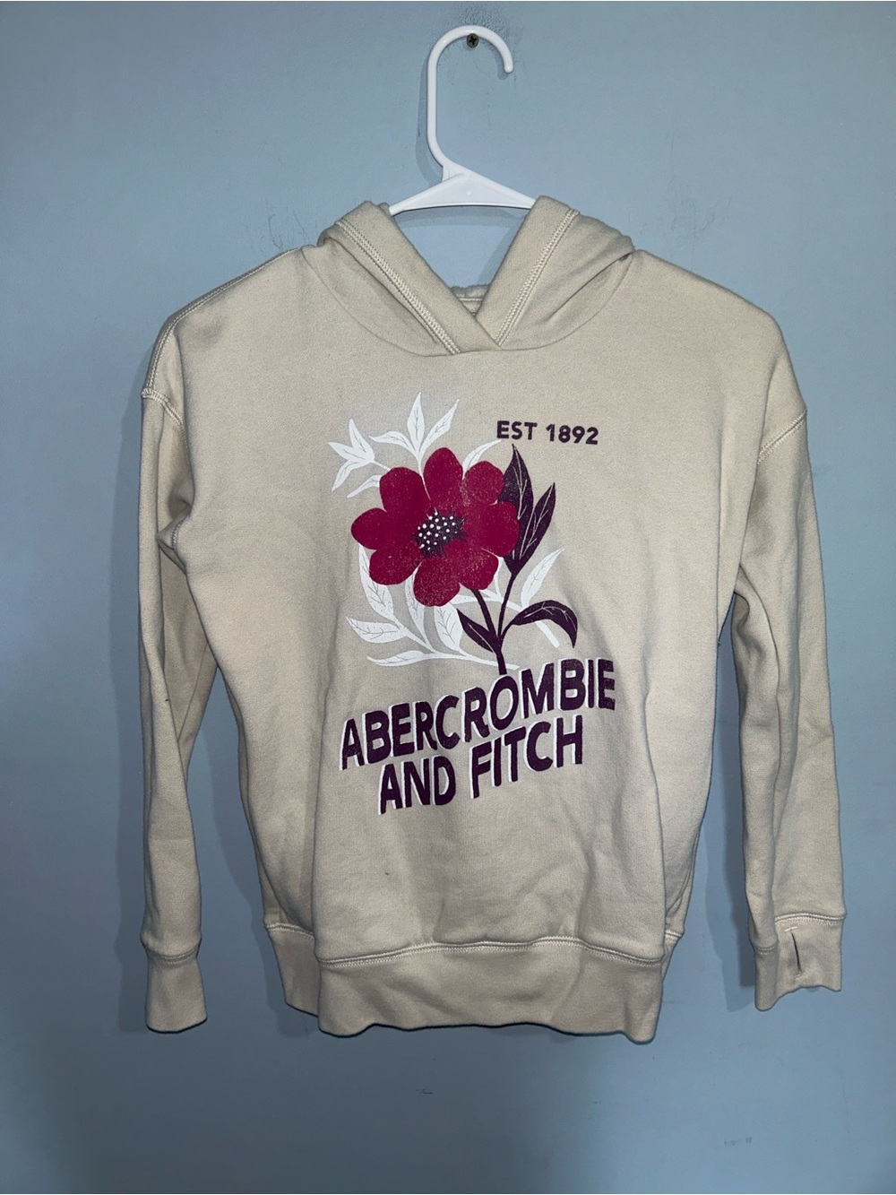 Abercrombie and Fitch Sweatshirt
